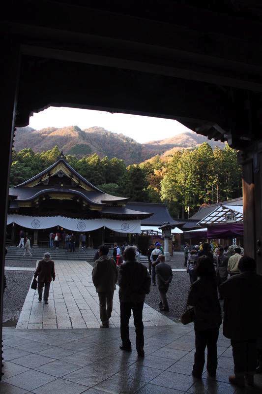 弥彦神社境内　菊まつり