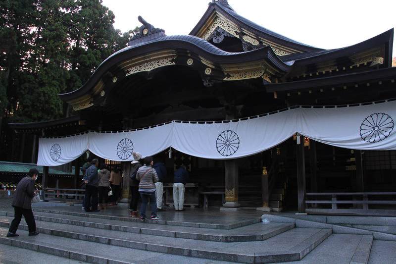 弥彦神社境内　菊まつり