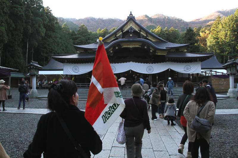 弥彦神社境内　菊まつり