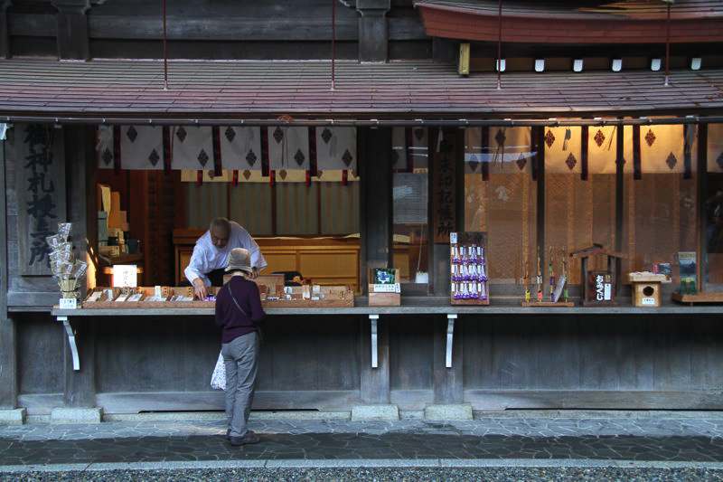 弥彦神社境内　菊まつり