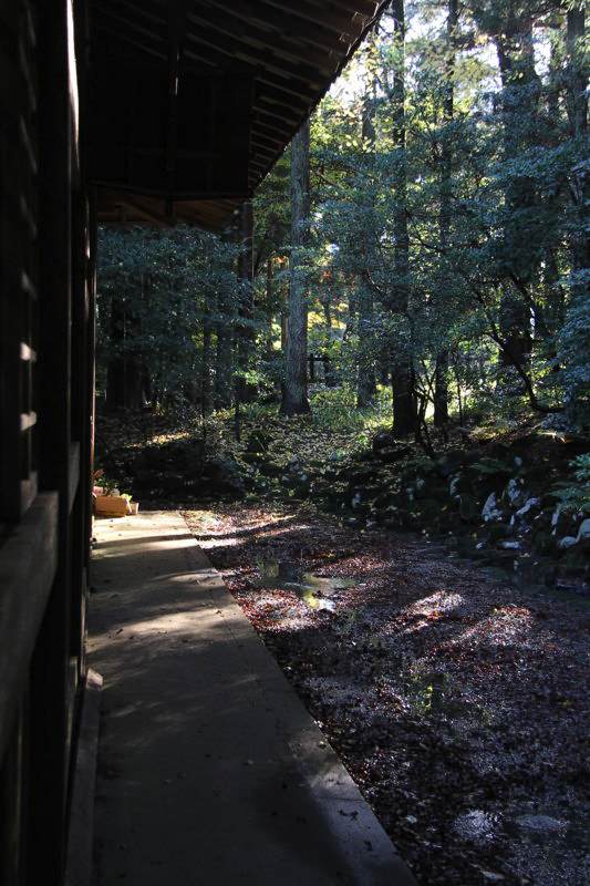 弥彦神社