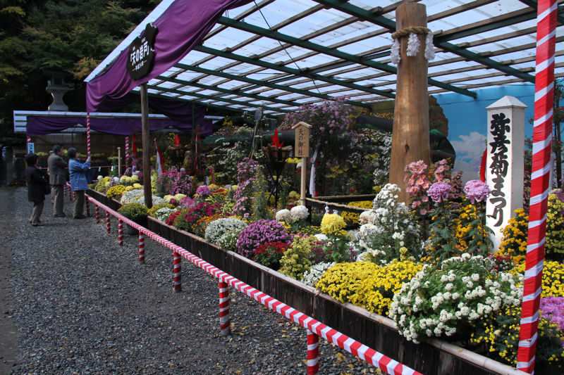 弥彦神社　菊まつり大風景花壇「天の岩戸」