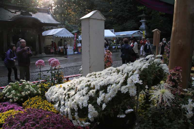 弥彦神社　菊まつり大風景花壇「天の岩戸」