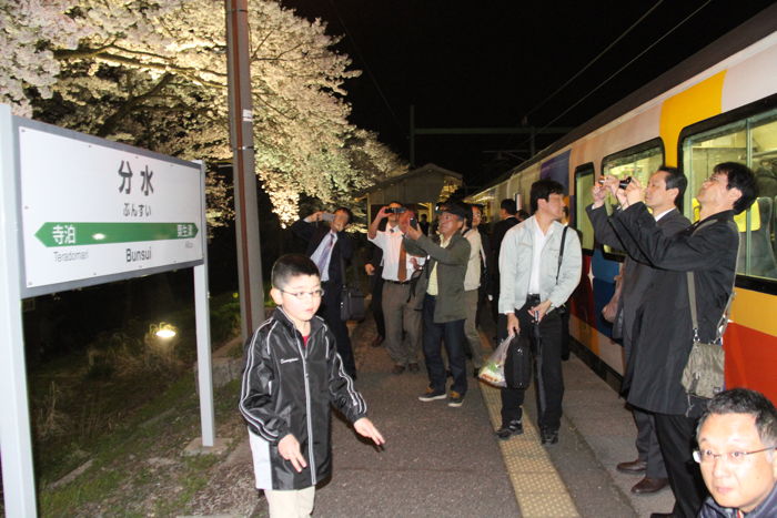 サクラが満開の分水駅に「きらきらうえつ」が到着