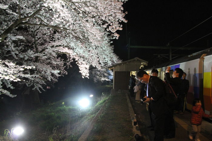 分水駅はサクラと「きらきらうえつ」の第撮影大会