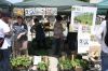 大崎中学校の緑のカーテンプロジェクトがゴーヤの苗を販売