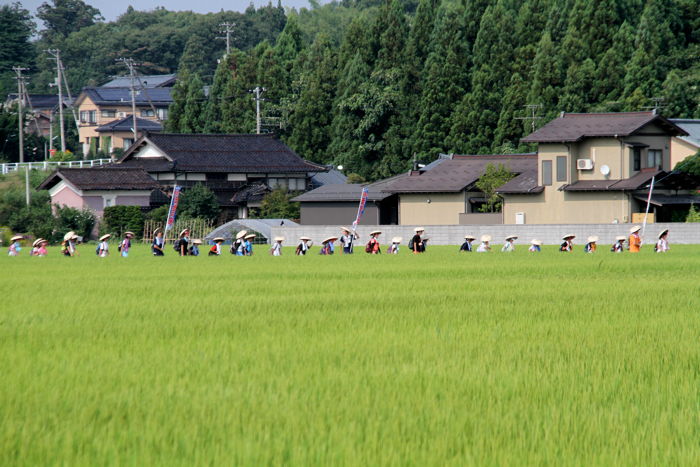 1日目7日