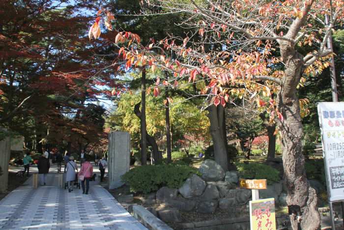 弥彦公園もみじ谷