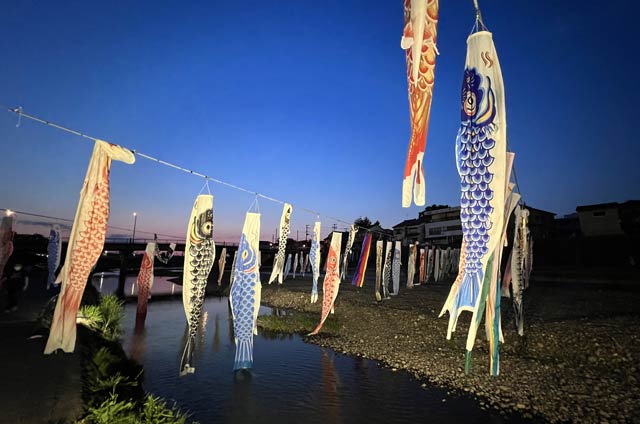 加茂川上空を泳ぐこいのぼりのライトアップ