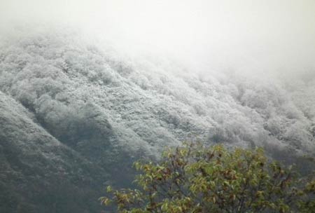 初冠雪の粟ヶ岳　「しただブログ」より