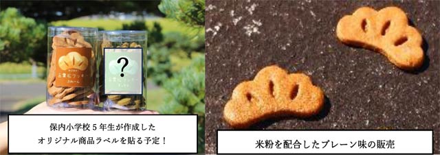 「五葉松クッキー」に今度は保内小がコラボして12月8日から150個限定販売