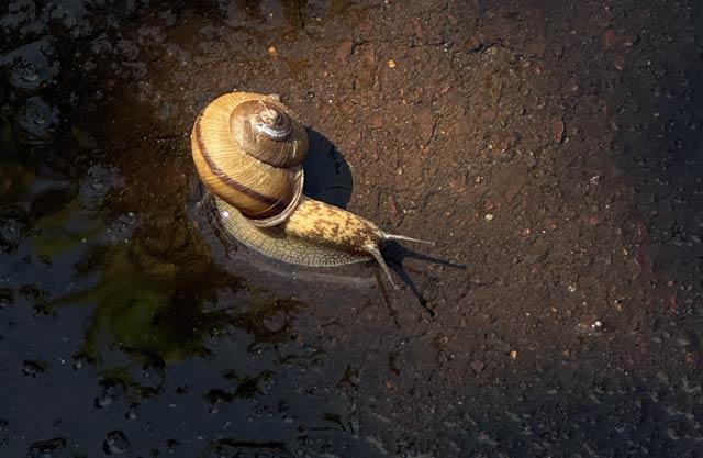 JœHɏoĂJ^c