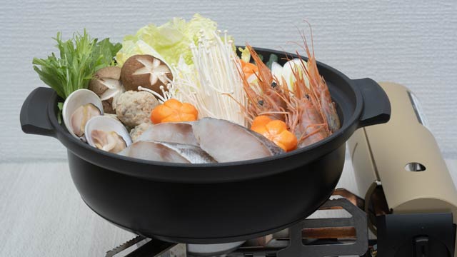 쉃24 WILD-1 EDITION