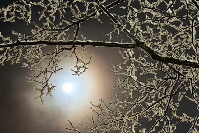 2���̎O���s�͍ō��C��2.5�x�A�Œ�|0.4�x�@3���͂��Ƃ��ŏ��̖���