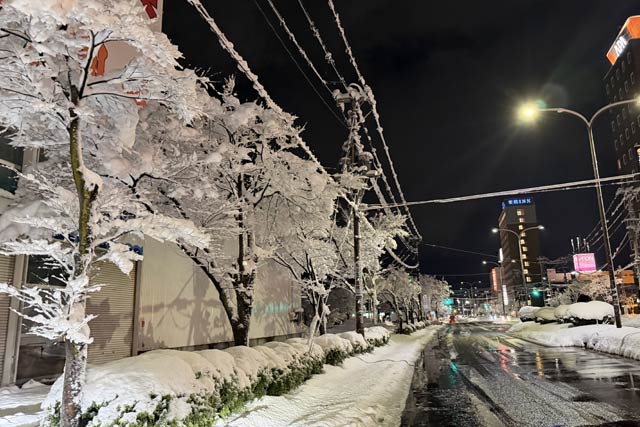 �؂̎}�ɐႪ�H���t������Ԃ�������