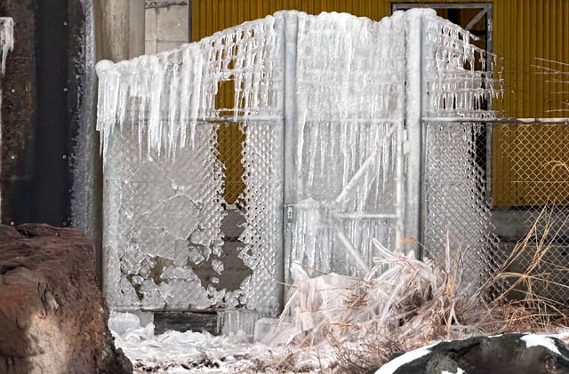 ���Ԃɒ���t�����X���ǂ̂悤�ɂȂ���