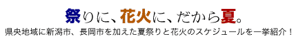 祭りに、花火に、だから夏。県央地域に新潟市、長岡市を加えた夏祭りと花火のスケジュールを一挙紹介！