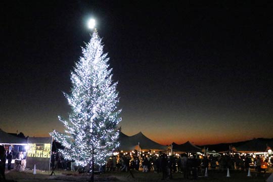 15Nڂ̃Xm[s[N{ЂɌő勉Xmasc[ڌ