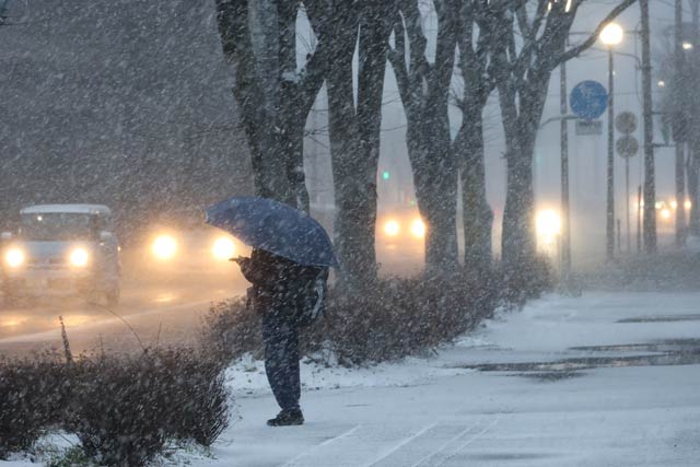 21������̍ŋ����g��O��20�������Ɍ������Č����������ƌ�������