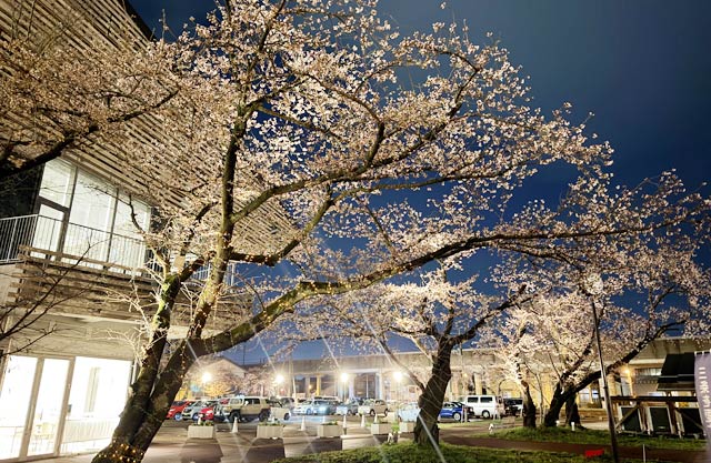 2���̎O���s��3�����{���݂̍ō��C��10.4�x�@����ꂪ�~�������������������̊J�Ԃ͐i��