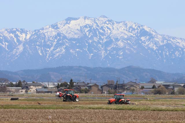 燕市で残雪の粟ヶ岳とトラクター