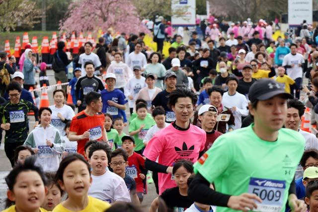 燕さくらマラソン大会
