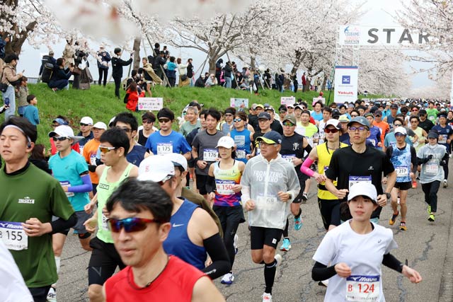 燕さくらマラソン大会