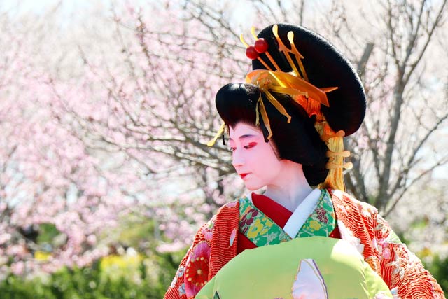 ����g�쑾�v