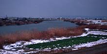 21世紀最初の県央の元朝は小雪