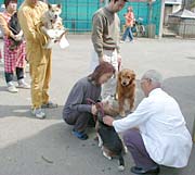 燕市で狂犬病予防接種始まる