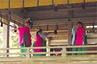 弥彦神社で国指定重要無形民俗文化財の大々神楽