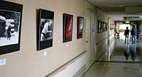 燕市のPHOTO風音、済生会三条病院で写真展