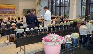 20日まで三条市・緑の相談所でサボテン展示会