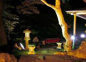 与板の楽山苑で25日までライトアップ
