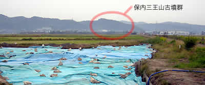 三条・吉津川遺跡、青いシートをかぶせた発掘現場の向こうに三王山古墳群が見通せる