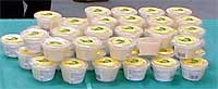 機能性豆腐「まめぷりん」の試食会