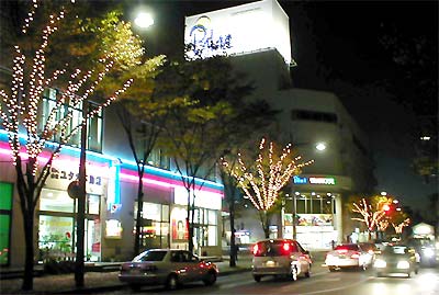 思わず足を止めて見入ってしまうパルムのケヤキのイルミネーション