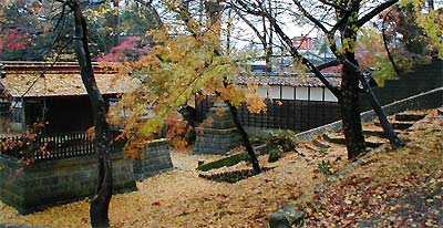 イチョウの葉の黄色いじゅうたんが美しかった28日の青梅神社境内
