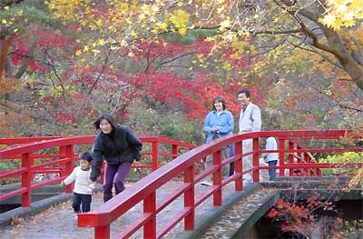各分野の専門家の目で防火指導