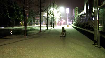 雪で真っ白になった三条市役所前の歩道