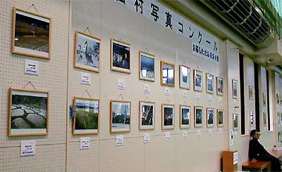 下田写真コンクールの入賞、入選作品100点がずらりと並ぶ