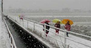 23日は大荒れで三条市は2週間ぶりの積雪を記録