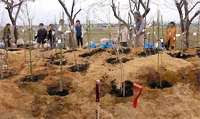 燕北中卒業生の思いを伝える「未来の森」の植栽