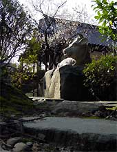 本成寺の白牛の石像のかたわらで満開を迎えた白梅