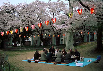 三条市・八幡宮でちょうちんが灯っても続く宴(6日午後6時4分撮影)