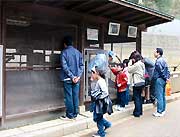 キタリスの小屋をのぞき込む来園者