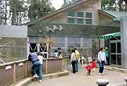 にぎわう加茂山リス園園内