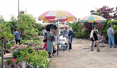 5日まで新潟県花き流通センターで開かれている保内園芸植木まつり