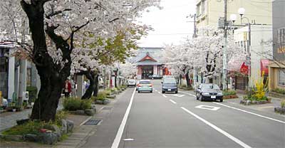 弥彦駅前通り(ことし4月撮影)