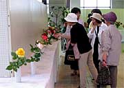 緑の相談所で春のバラ展